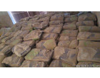 Dalmia Cement-8329 Bags lying at Warsaliganj