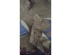 Dalmia Cement- 3350 Bags (167.5 MT) at Satna MP