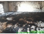 Fire affected Cotton Bales - 12 MT