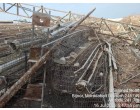 Damaged Iron cannels and cages of birds   
