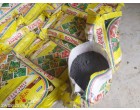 Fertilizer: SSP (ZNG & ZNBG)-304.4 MT at Hisa