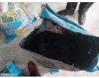 Fertilizer: SSP (ZNG & ZNBG)-304.4 MT at Hisa