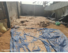 M/s Guru Kripa_ Lot 5: Paddy - 20 MT at Fatehabad Haryana
