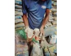 Dalmia Cement -3982 Bags at Samastipur BH