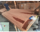 Damaged Indonesian Keruing Venner -22650 pcs
