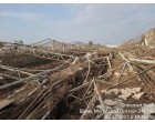 Damaged Iron cannels and cages of birds   