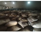 Dalmia Cement -5900 Bags at Muzaffarpur Bihar