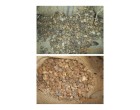 Dried Raw Cashew Nuts, 21040 Kgs, Tuticorin- TN