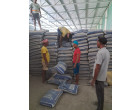 Wet Damaged DALMIA CEMENT -14801 Bags at Warisaliganj, Bihar