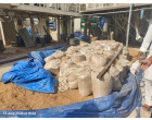 M/s Guru Kripa_ Lot 4: Parmal Rice- 128.850 MT at Fatehabad Haryana