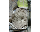 Dalmia Cement- 4980 Bags_ Coochbehar WB