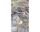 Salvge of Building , Stock , Plant & Machinery lying at moradabad