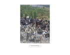 Glory Food Building Scrap _ Approx. 25 MT