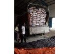 Sugar- 27.9 MT approx in Kolkata