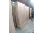 Greenply Wood Crrests – 718 Pcs at New Delhi