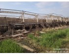 Damaged Iron cannels and cages of birds   