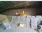 Dalmia Cement - 4262 Bags at Warsaliganj, BH