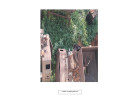 Glory Foods - Machinery Scrap - as per list attched