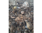 Semi-Burnt & water affected Stock of imported and indigenous Waste Paper-Approx. Qty. – 539 MT