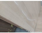 Greenply Wood Crrests – 718 Pcs at New Delhi