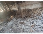 Cotton Seed & Hulls (Mundada)