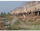 Damaged Iron cannels and cages of birds   
