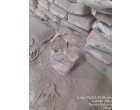 Dalmia Cement -4199 Bags  at Purnea Bihar