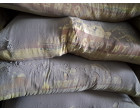 Wet Damaged DALMIA CEMENT -14801 Bags at Warisaliganj, Bihar