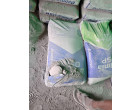 Dalmia Cement - 4262 Bags at Warsaliganj, BH