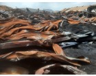 Damaged, HDPE, LDPE, PP Polymers -1953 MT