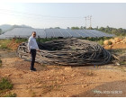 Damaged Solar Panel, Cable & other material (as per details mentioned) at Ranikhet Uttarakhand
