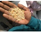Food Grains, spices & flours (besan, maida et