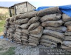 Water damage wheat