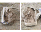 Dalmia Cement - 6225 Bags at Daltolganj JH