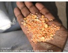 Food Grains, spices & flours (besan, maida et