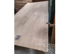 Greenply _ Ecotec Ply - 710 Pcs at Ghaziabad UP