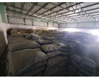 Wet Damaged DALMIA CEMENT -14801 Bags at Warisaliganj, Bihar