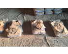 Dalmia Cement-8329 Bags lying at Warsaliganj