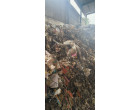 Semi-Burnt & water affected Stock of imported and indigenous Waste Paper-Approx. Qty. – 539 MT