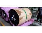 Nylon Dipped Role -11 Rolls (7381.3 Kg.)