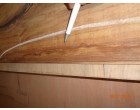 Plywood - 436